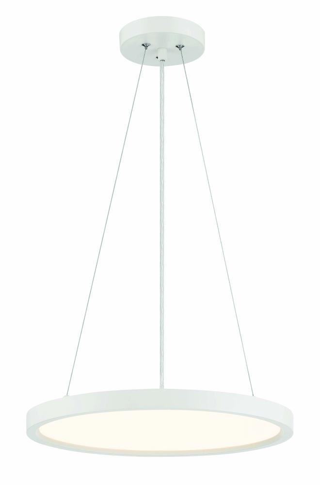 30 W, LED PENDANT FIXTURE IN METAL