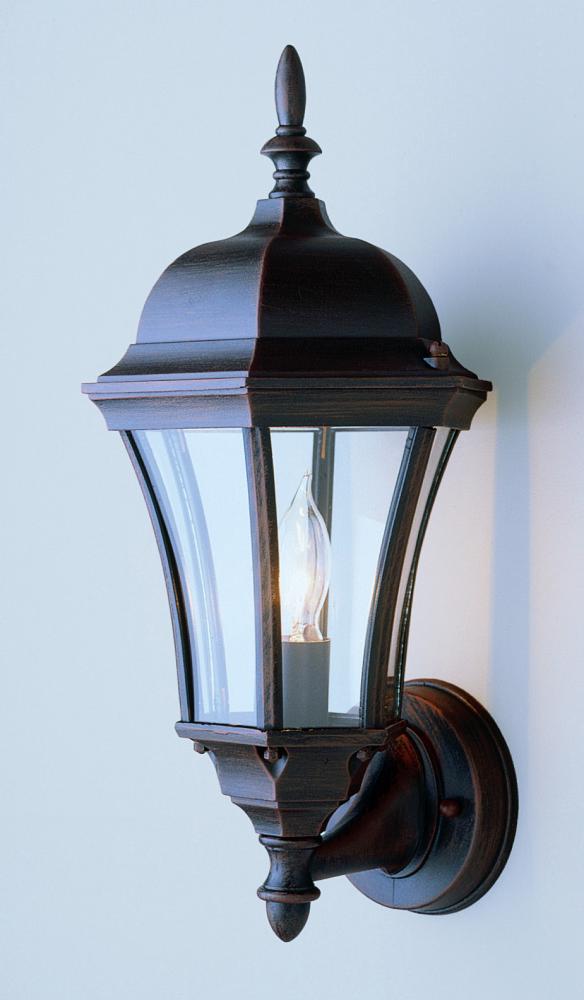 1LT WALL-OUTD-CLEAR GLASS