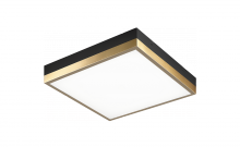 MODERN RUFF