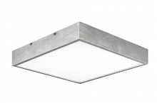 XENON