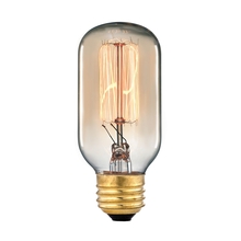 Other Bulbs
