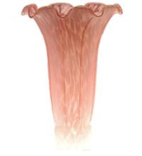 PINK POND LILY